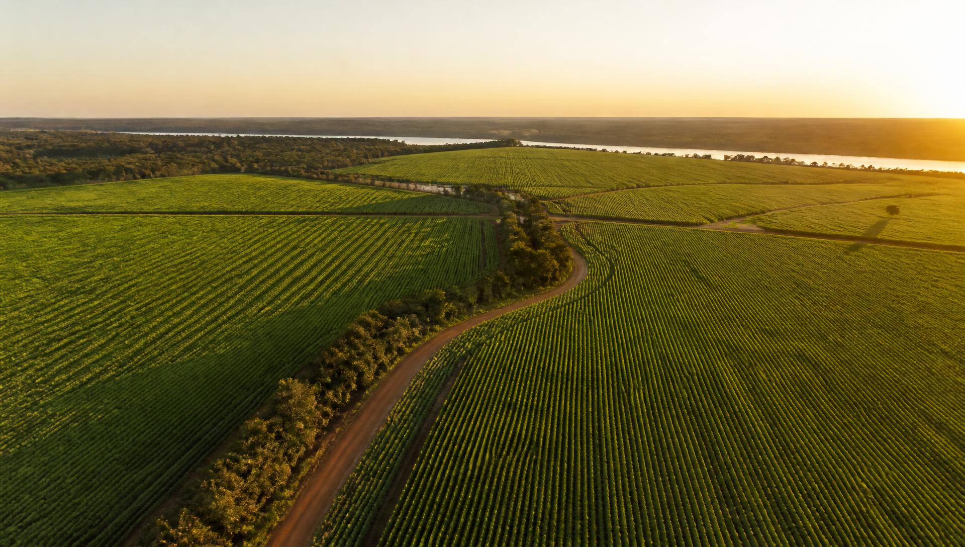 Vista aérea de uma grande propriedade rural brasileira ao entardecer